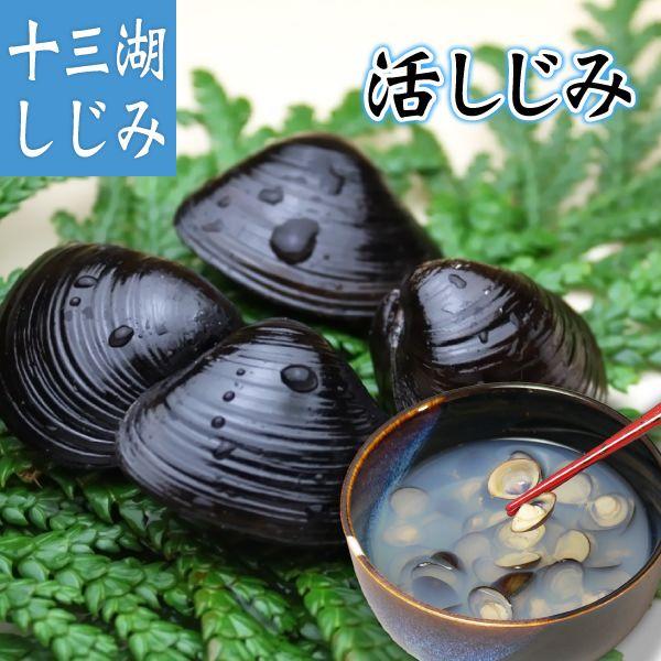 青森県 十三湖 しじみ 貝(活) 中粒 5kg 蜆 シジミ 天然しじみ 天然シジミ 天然蜆 味噌汁の具 みそ汁の具 国産 健康食品 ギフト 飲み過ぎ 酒好き 青森県産　