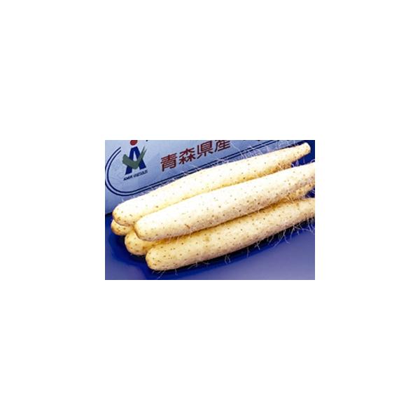 青森県十和田市の農家さん達が作った健康野菜を産地直送でお届けします。良質野菜「十和田美人」シリーズは土づくりにこだわった有機野菜で、八甲田の大地と奥入瀬の水が育てたすばらしい大地からの贈り物です。●お届け内容:十和田美人野菜 長芋ギフトセッ...