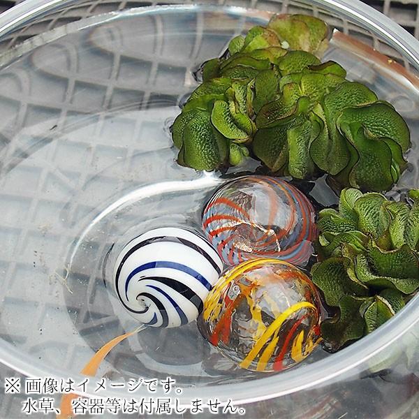 アクアリウム 浮き玉 ガラス製 3種セット アクセサリー 浮き球 ビオトープ 鉢 Buyee Buyee 日本の通販商品 オークションの代理入札 代理購入