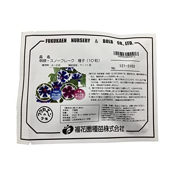 家庭で楽しむための朝顔です。(品評会、競技用ではありません)桔梗咲き朝顔の曜白タイプ小型のトレリスや行灯仕立てがおすすめ。午後には花色がピンク色に変わります。1節から数輪咲きます。DIY・工具・ガーデン:ガーデン:種・苗:種:花