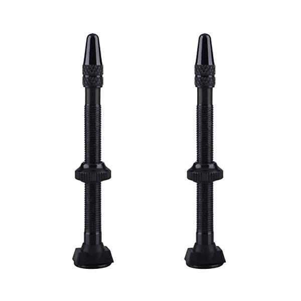Azarxis チューブレス バルブ 仏式 40mm 60mm フレンチバルブ 自転車