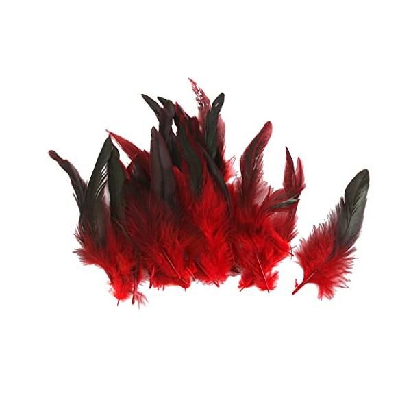 ノーブランド品 羽根 装飾用 羽根 DIY ジュエリー 工芸品 ヘアアクセサリー バッグ 帽子 工芸品 クラフト ソーイング デコレーション用 12〜18cm (レッド)