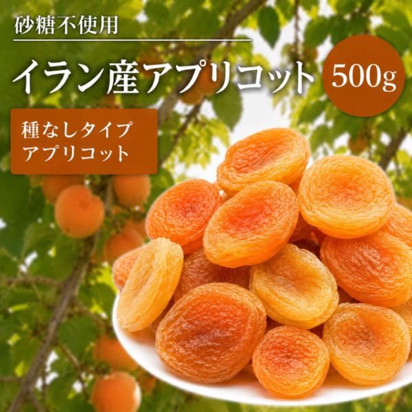 イラン産アプリコット 500g あんず 天日干し ノンオイル イラン産 ドライフルーツ ドライ アンズ 干しあんず ギフト  杏 杏子 果物 美容 健康　おやつ 食べ物