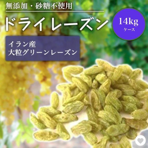 [Y hCt[c hC Y nobh_  yV[Y O[[Y 嗱 14kg P[X O