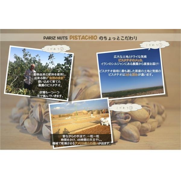 ピスタチオ グリーンピスタチオ スーパーグリーン 生 無添加 むき実 ナッツ 1kg グルメ Buyee Buyee 日本の通販商品 オークションの代理入札 代理購入