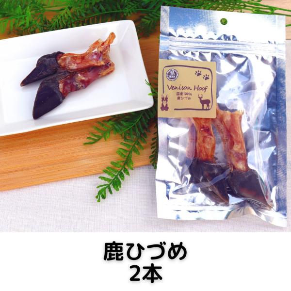 4will-shop_s-086