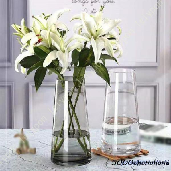 5000chanahana_hp2-0717948