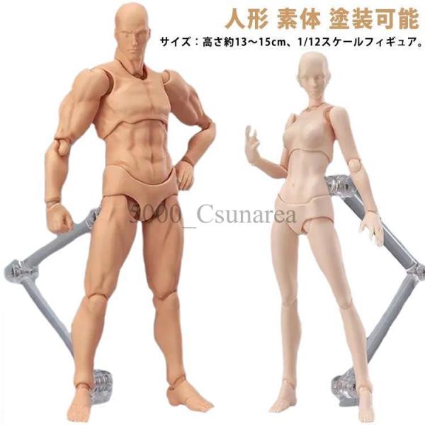 シームレス フィギュア デッサン用 1/6 マタニティ ボディ 妊婦　単品 Amazon.co.jp: シームレス フィギュア デッサン用 1 6