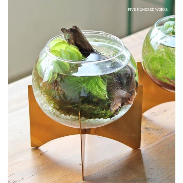 【商品名】in bloom（インブルーム）ガラスボウルベース Lサイズ【商品説明】テラリウムにぴったりなガラスボウルベースが入荷しました。上品なゴールド仕上げのアイアンの足。テラリウム以外にもお花を生けたり小物を入れたりなど様々な用途でお使...