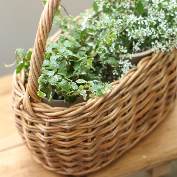 500works_1001436_4_d_20221007095430