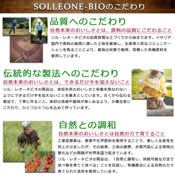 オーガニック パスタ 2袋セット イタリア産 有機デュラム小麦100 ソル レオーネビオ パスタ Solleone Bio 送料無料 乾麺 全粒粉 1 7mm 1 65mm 無農薬 Sol01 Buyee Buyee Japanese Proxy Service Buy From Japan Bot Online