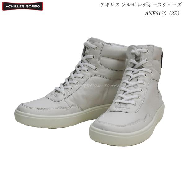 ALX \{ fB[X V[Y ANF5170 ANF-5170 zCg N517  3E TCht@Xi[ {vU[ u[c GɗDC Achilles SORBO wlnCJ