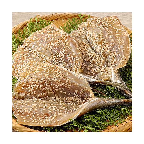 AW݂񊱂 10܃Zbg V̂ꂢȋ̉ V̈̃~ | VYiVbv