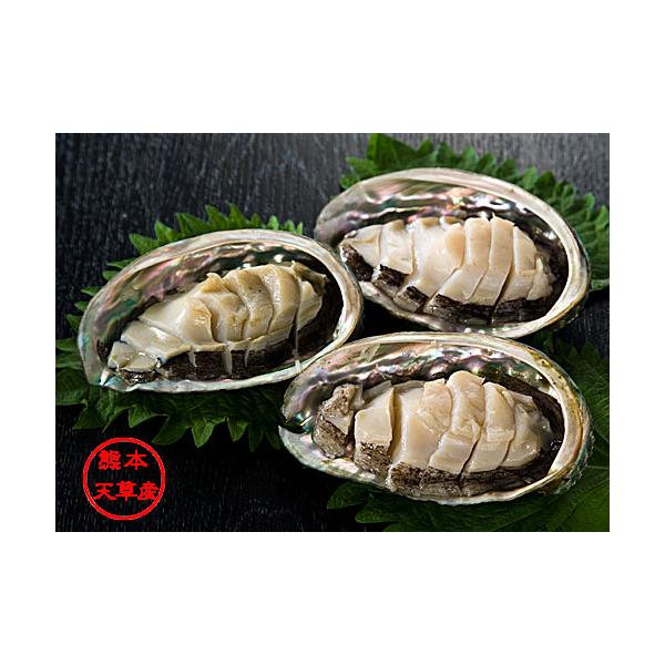 �A���r ��������� ��800g �C���J�E�H�b�`���O�ŗL���ȓV���̊C�ň炽�h�{�L�x��� | �V�����Y�i�V���b�v