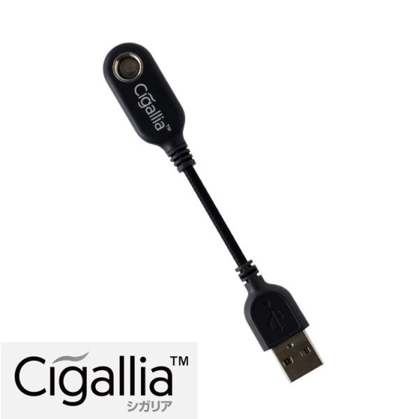 usb usb�`���[�W���[ �݊��o�b�e���[ �V�K���A��p �[�d�P�[�u�� �d�q�^�o�R Cigallia �������� .3R