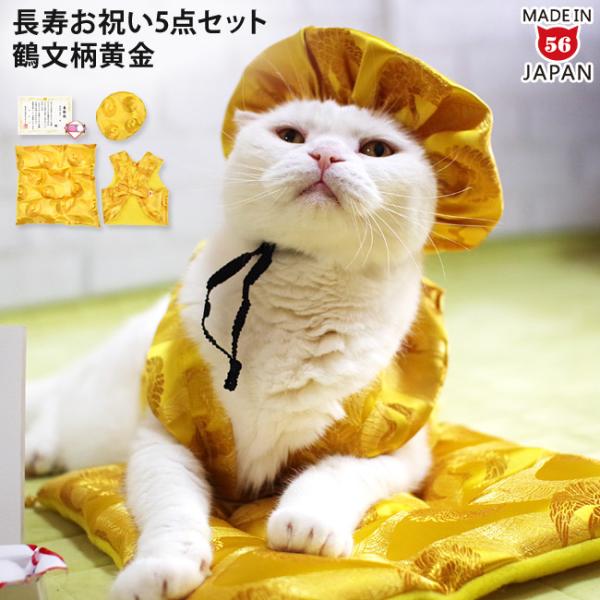 (ΦωΦ)双子のにゃんにゃん♥猫♥里親様募集♥ズタボロにゃん　猫 ΦωΦ)双子のにゃんにゃん♥猫♥里親様募集♥ズタボロにゃん 猫