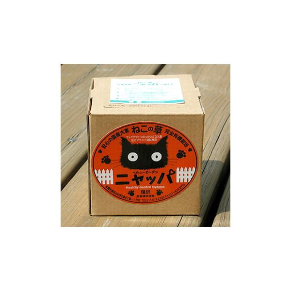 猫草 ニャッパ(栽培2回分)