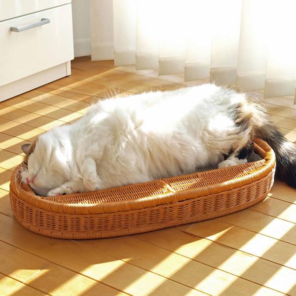 猫 爪とぎ ゴロにゃんオリジナル ラタンの爪とぎケース : 56nyan 猫