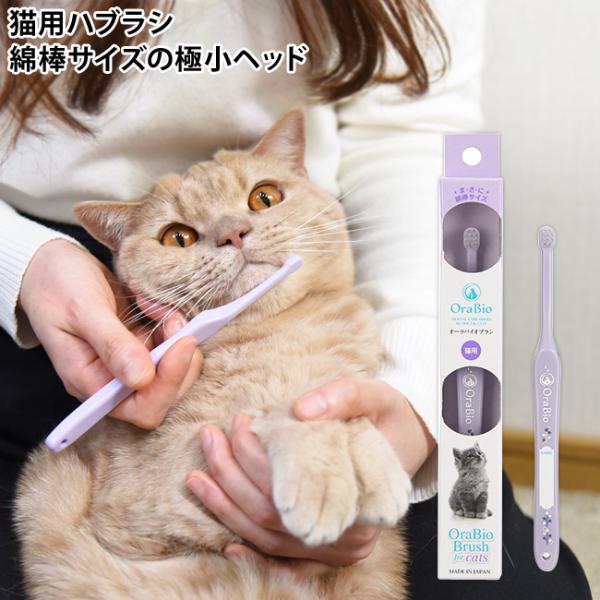 オーラバイオブラシのヘッドは国内最小クラスの綿棒サイズ！子猫を家族に迎える飼い主様や、猫を育てている飼い主様にオススメの猫ちゃん用の歯ブラシです。