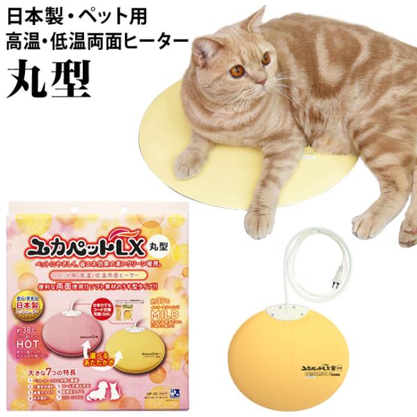 56nyan_51281-03 56nyan_51281-03