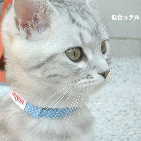 猫の首輪 子猫用はじめて首輪 水玉シリーズ Buyee Buyee Japanese Proxy Service Buy From Japan Bot Online