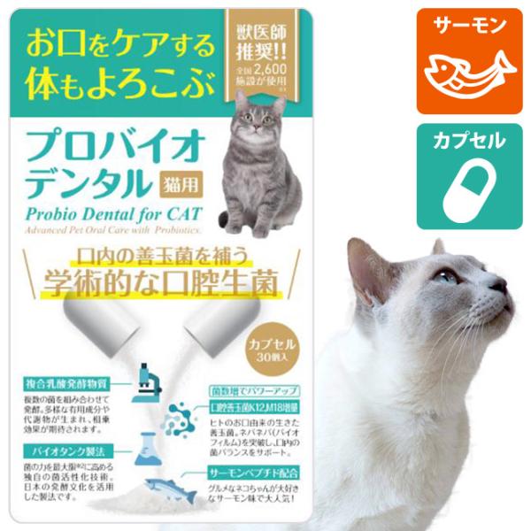 プロバイオデンタルペット 猫用 サーモン カプセル 7.2g (60720)