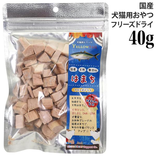ミラクルトリーツ フリーズドライ 国産 はまち 大袋40g (31368) AD.DOG&CAT 犬猫用 おやつ トリーツ