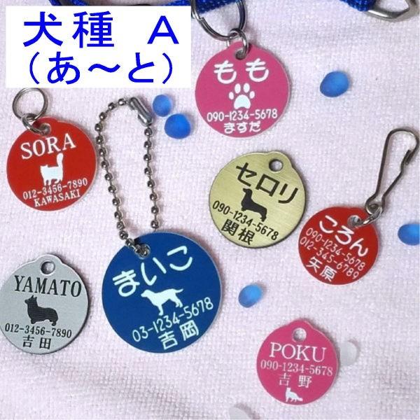 犬の迷子札 丸イラスト 犬ａ メール便なら 送料無料 Pet ごえんだま 通販 Yahoo ショッピング