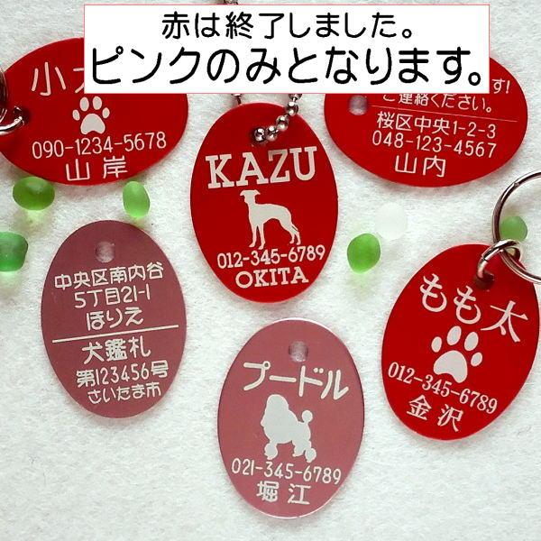アルミ製・犬の迷子札・だ円【ピンク】　（メール便なら→）【送料無料】