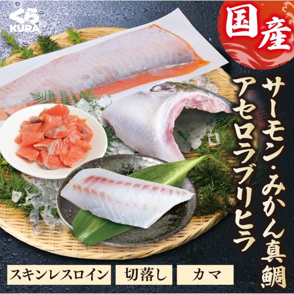 くら寿司 国産 海鮮 [サーモン(スキンレスロイン／切落し)・みかん真鯛(スキンレスロイン)・アセロラブリヒラ(カマ)]