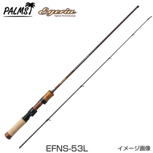 6977_efns-53l