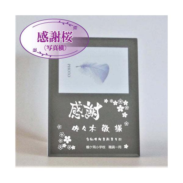 ~[ tHgt[@꒤ʐ^ Ӎ LOi ސE  a җ j Mtg