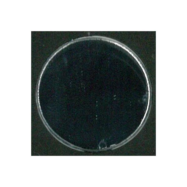 ■ミラーベース：ポリカーボネイト■ミラー表面：アルミ処理■直径18mm■54mm×85.5mm×3mmの専用プラスチックケース入りです。