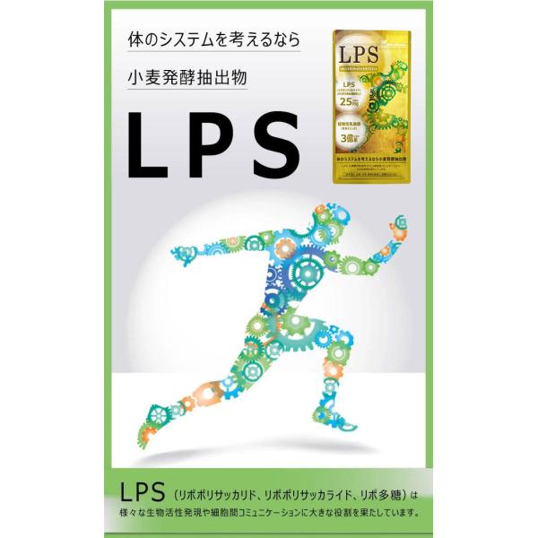 Lpsサプリ ネコポスok 発酵モリンガ スマート乳酸菌 リポポリサッカリド リポポリサッカライド リポ多糖 Mr 1731 Buyee Buyee Japanese Proxy Service Buy From Japan Bot Online