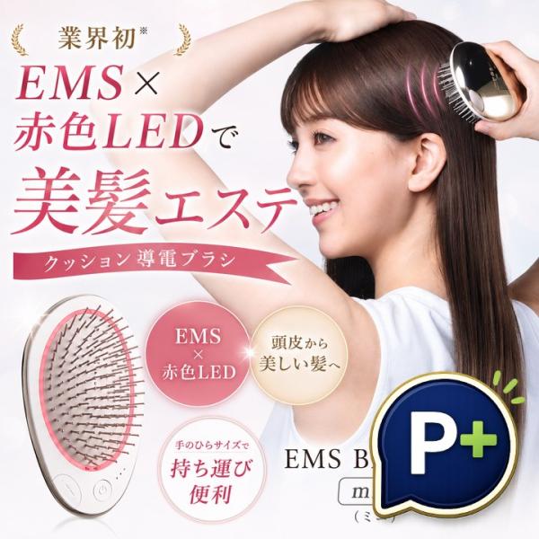 7-palette_mr-4193