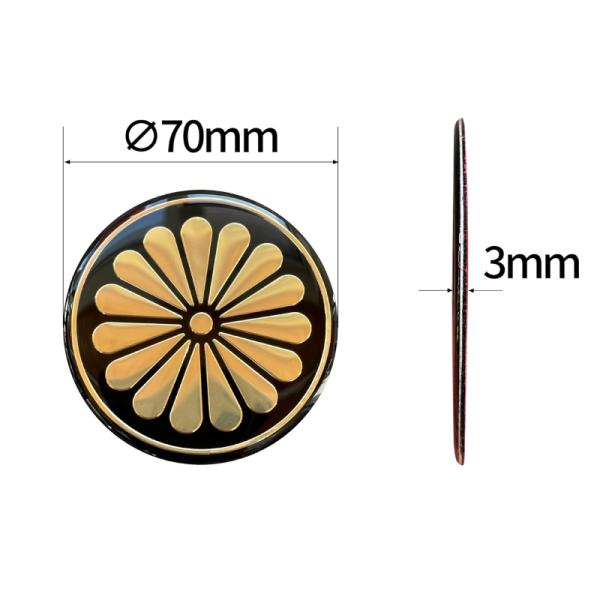 7-seas_kmst001_1_d_20250501100840