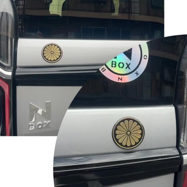 7-seas_kmst001_5_d_20250501100907