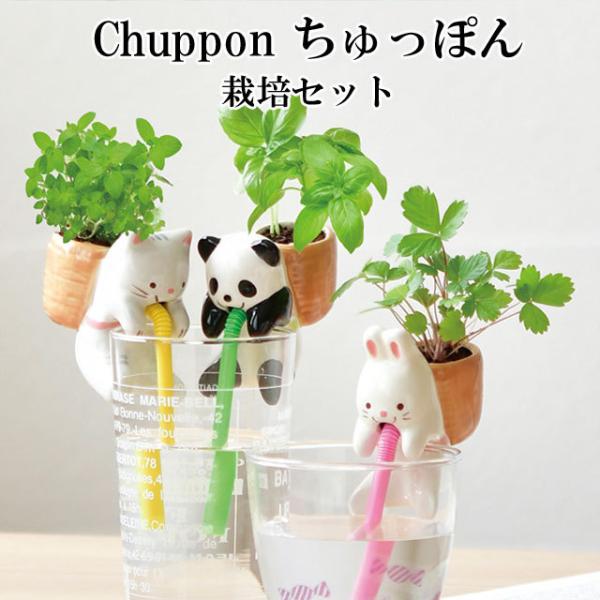 栽培キット Chuppon ちゅっぽん 即納 栽培セット 植物 動物 グリーン ハーブ 野菜 クローバー ワイルドストロベリー バジル ミント インテリア 置物 Buyee Buyee Japanese Proxy Service Buy From Japan Bot Online