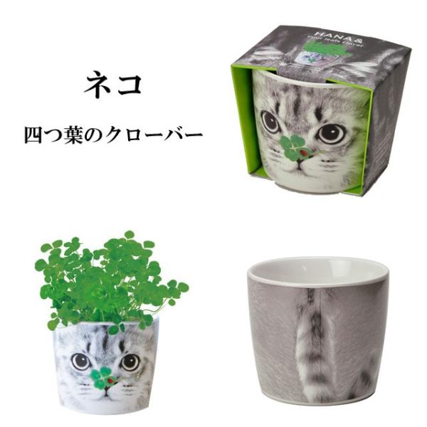 栽培キット ハナ アニマルズ 即納 栽培セット ハーブ ワイルドストロベリー 四つ葉 クローバー ミニバラ ビオラ ウサギ ネコ ハリネズミ ペンギン Buyee Buyee Japanese Proxy Service Buy From Japan Bot Online