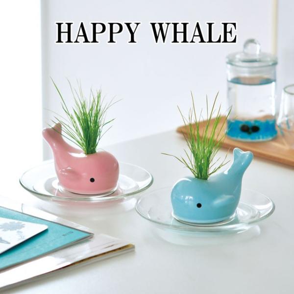 ͔|Lbg HAPPY WHALE nbs[ zG[ ͔|Zbg NW ~  A O[ n[u Ő  CeA 킢 IV