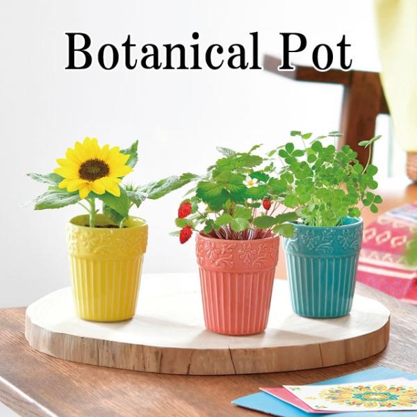 栽培キット Botanical Pot ボタニカル ポット 栽培セット ワイルドストロベリー ミニヒマワリ 四つ葉のクローバー ハーブ かわいい オシャレ