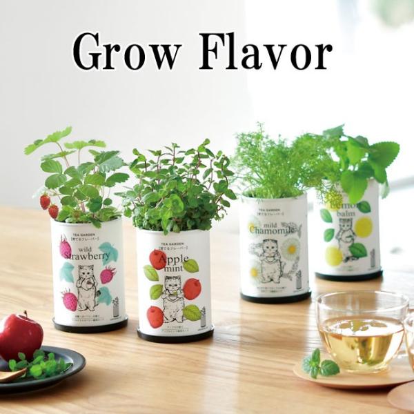 栽培キット Grow Flavor 育てるフレーバー 栽培セット アップルミント レモンバーム ワイルドストロベリー カモミール ハーブ かわいい オシャレ Buyee Buyee Japanese Proxy Service Buy From Japan Bot Online