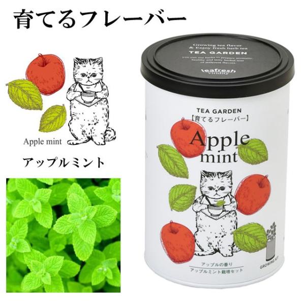 栽培キット Grow Flavor 育てるフレーバー 栽培セット アップルミント レモンバーム ワイルドストロベリー カモミール ハーブ かわいい オシャレ Buyee Buyee Japanese Proxy Service Buy From Japan Bot Online