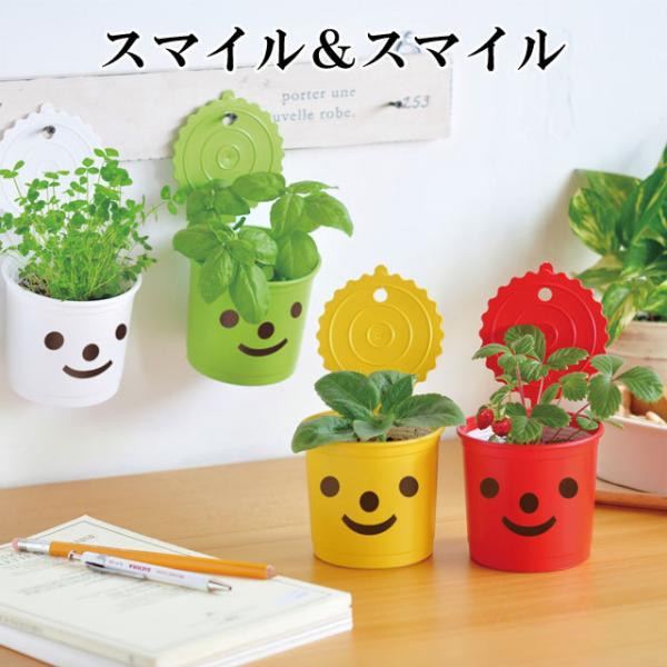 ͔|Lbg 킢 ͔|Zbg Smile &amp; Smile X}C &amp; X}C oW N[o[ ChXgx[ ~jq} q}  v[g