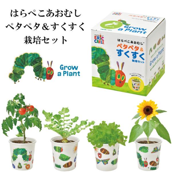 植物をすくすく育てて、家族で楽しく学んじゃおう！はらぺこあおむしのシールを自由に貼って、オリジナルポットが完成！土の準備や種まきをさらに簡単＆安全にできる、子ども向け栽培セット。お子さまが「自分でできた！」と感じられる工夫をこらしました。