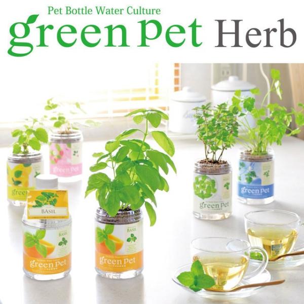 栽培キット 育てるグリーンペットハーブ 即納 栽培セット グリーン ハーブ 野菜 ワイルドストロベリー バジル ミント イタリアンパセリ レモンバーム Buyee Buyee 提供一站式最全面最專業現地yahoo Japan拍賣代bid代拍代購服務 Bot Online