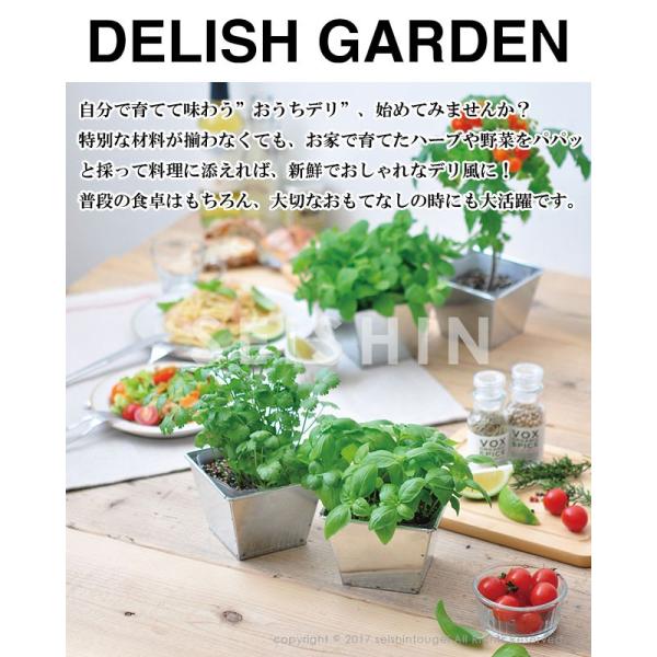 栽培キット Delish Garden デリッシュガーデン 即納 栽培セット 植物 ハーブ 野菜 ミント バジル パクチー コリアンダー ミニトマト Buyee Buyee 日本の通販商品 オークションの代理入札 代理購入