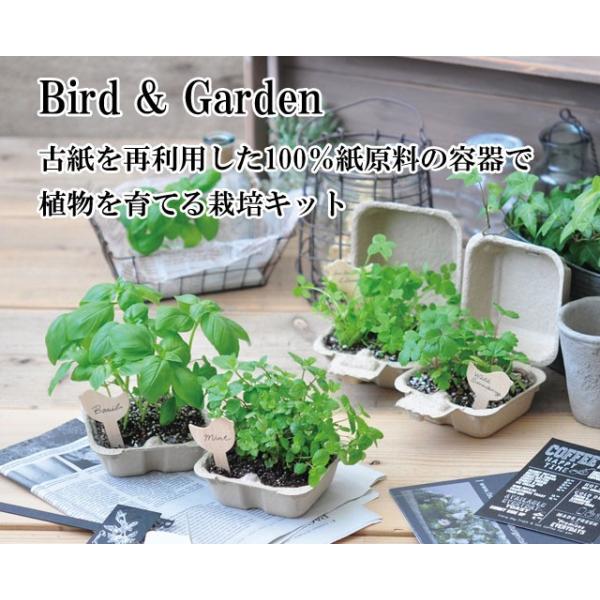 栽培キット かわいい 栽培セット ハーブ バジル 室内 プレゼント Bird ミント Amp Garden 驚きの値段 ワイルドストロベリー 四つ葉の クローバー ガーデン バード