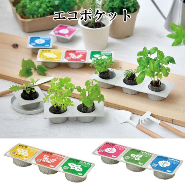 ͔|Zbg ECO pockets GR|Pbg ͔|Lbg O[ n[u  ~g ^C oW  Ot 킳э RNV 킢