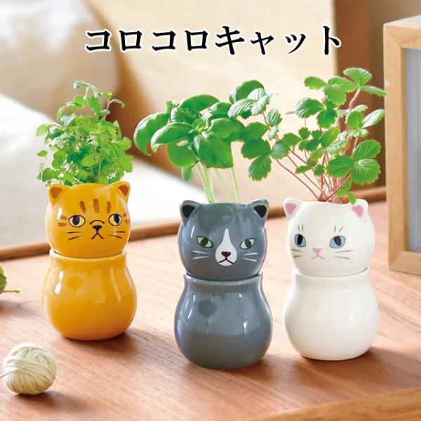 コロコロ転がる頭がキュート。猫たちがコロンとお座りしたような姿の底面給水栽培キット。頭と体が分かれていて、体の中に水を溜めて育てます。インテリアにもぴったり。頭を少し動かして、コロコロいきいきとした視線の変化を楽しんでね。